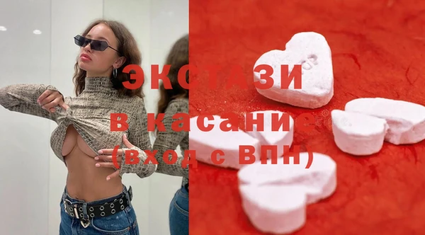 стаф Алексин