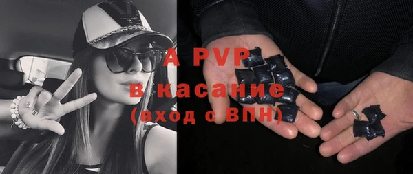 стаф Алексин