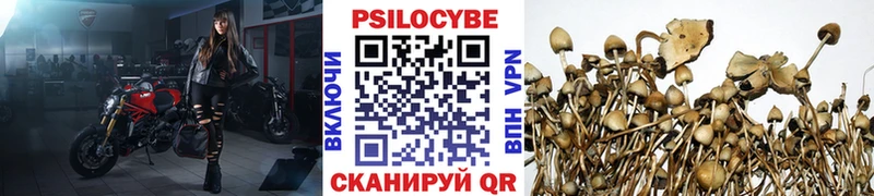 Галлюциногенные грибы мухоморы  Ухта 